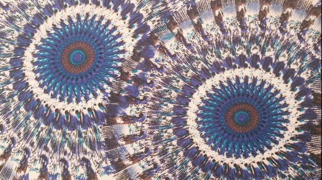 wp-image-2144528857819605781